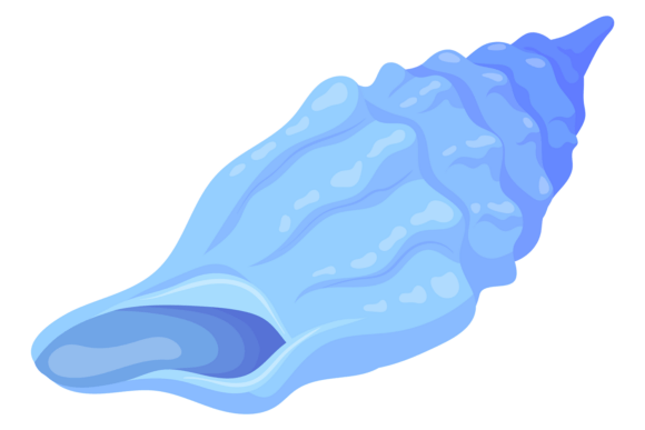 Download Oyster Drill Shell. Ocean Shellfish Cart - Shellfish Collection