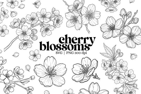 Download Botanical Cherry Blossom Outline Clipart - Cherry blossom Collection