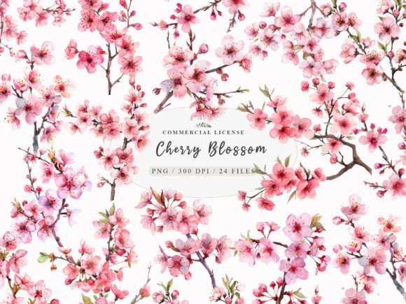 Download Watercolor Cherry Blossom Clipart, - Premium Resources