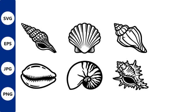 Download Seashell Line Art Vector Set - Vector Collection