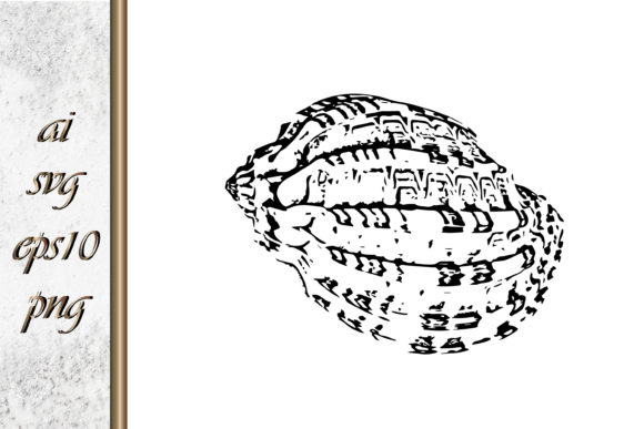 Download Doodle Shellfish Hand Drawn Sketch Vecto - Shellfish Collection