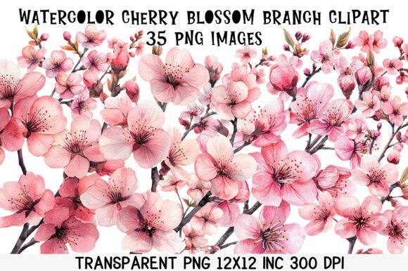 Download Watercolor Cherry Blossom Branch Clipart - Premium Resources