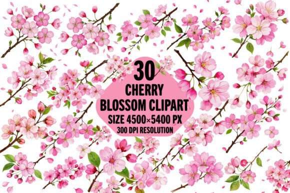 Download Watercolor Cherry Blossom Sakura Clipart - Premium Resources