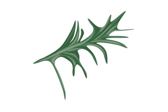 Download Rosemary Leaves Illustration Vector - Vector Collection