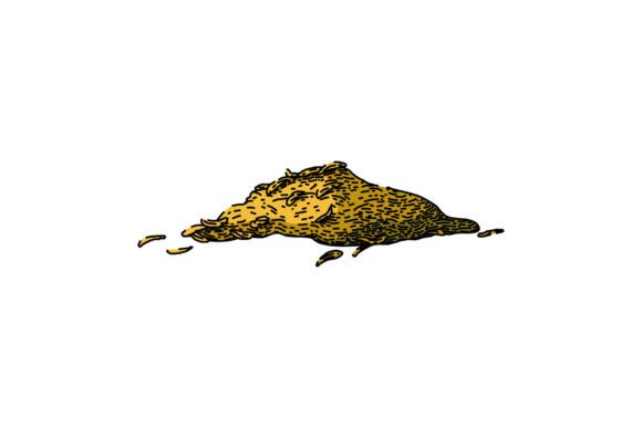 Download Organic Thyme Leaf Sketch Hand Drawn Vec - Organic Collection