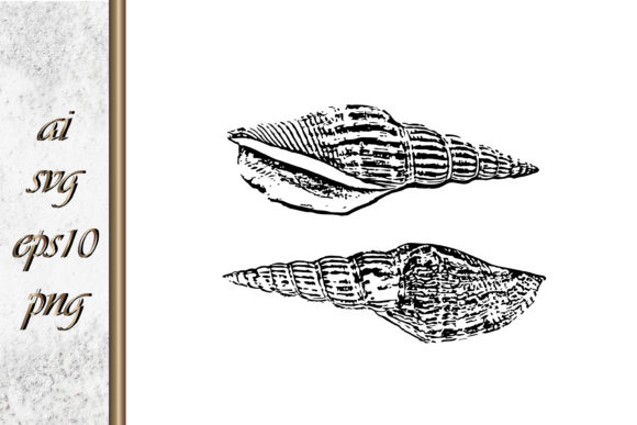 Download Doodle Shellfish Hand Drawn Sketch Vecto - Shellfish Collection